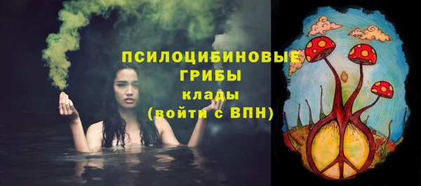 стафф Абинск