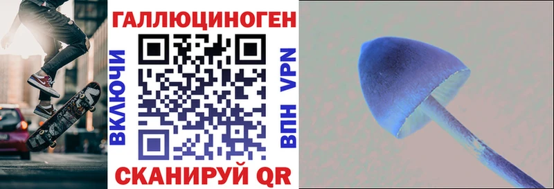 MEGA маркетплейс  купить   Шенкурск  Псилоцибиновые грибы Psilocybine cubensis 
